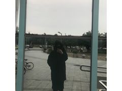 -奥林匹克体育中心游泳馆