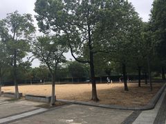 -尚贤河湿地