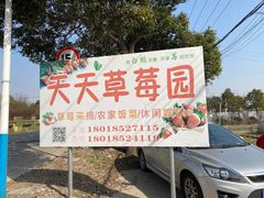 -青浦采草莓天天草莓园