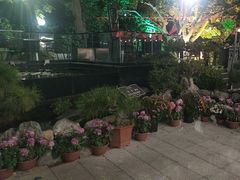 -蘇河湾·新鲁菜·泰山宴(泰山店)