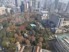 -上海明天广场JW万豪酒店