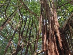 -闽粤南澳总镇府