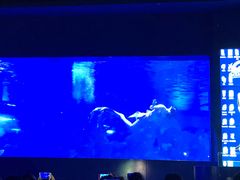 -重庆欢乐海底世界