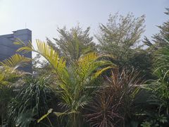 -马家斑.鲜鱼火锅(松湖万科店)