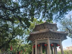 -荔湾湖公园