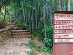 -杨家堂村