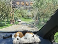 -北京野生动物园