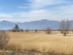 -野鸭湖国家湿地公园