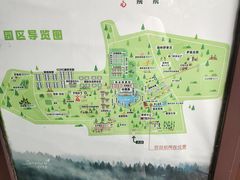 -林栖谷森林康养度假区