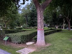 -裕华世纪公园
