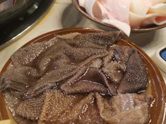 鲜毛肚-重庆老火锅王(西安北路店)