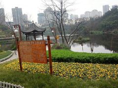 -重庆彩云湖湿地公园