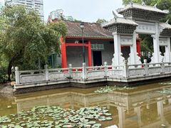 -深圳国际园林花卉博览园