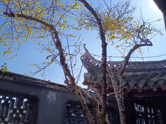 -水绘园