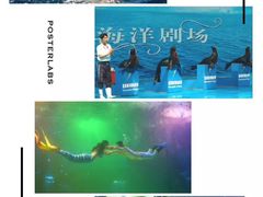 -蓬莱欧乐堡海洋极地世界