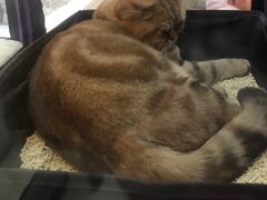 -杭州滨江宝龙城