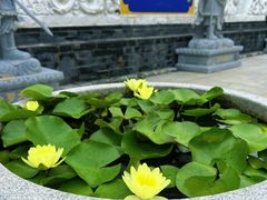 -护国法轮寺