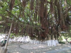 景点-胡里山炮台