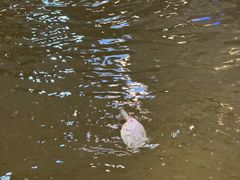 -粮心小农·大头虾亲子生态园(长发店)