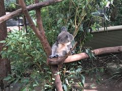-可伦宾野生动物保护区
