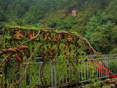-苍山感通索道
