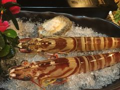 -鲜入围煮花胶鸡海鲜火锅