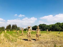 -嘉北郊野公园