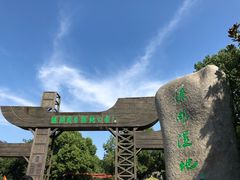 -溱湖国家湿地公园