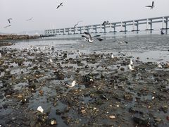 -黑石礁公园