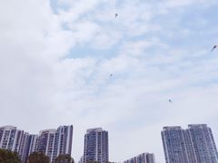 -汉江湾体育公园