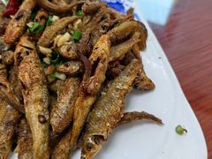 -百丈农家