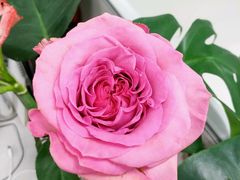 -Butchart布查德鲜花(花艺设计中心)