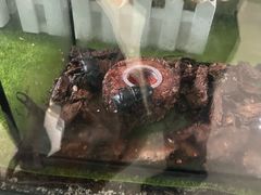 -上海昆虫博物馆