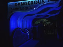 -瑞普利水族馆