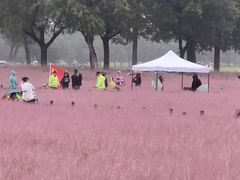 -汉长安城未央宫国家考古遗址公园