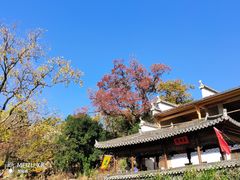 -塔川景区