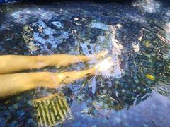 -三亚珠江南田温泉度假区