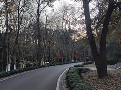 -杭州植物园