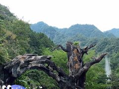 -龙湾潭国家森林公园