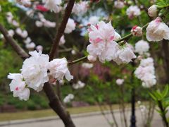 -上海市龙华烈士陵园