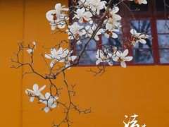 -杭州上天竺法喜讲寺