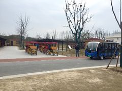 -上海长兴岛郊野公园