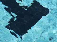 -北京八中游泳馆