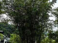 -中铁花水湾温泉酒店(大邑店)