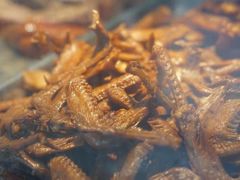 -竺桥兄弟烤鸭馆(竺桥店)