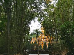 -云南勐巴娜西珍奇园
