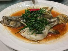 -清心鸡沙田乳鸽店·非遗传承(石溪店)