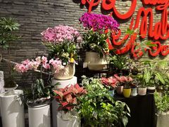 -豆豆花艺(新光天地店)