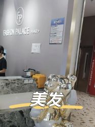 -FASHION PALACE hair+