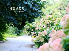 -吉林大学(南岭校区)